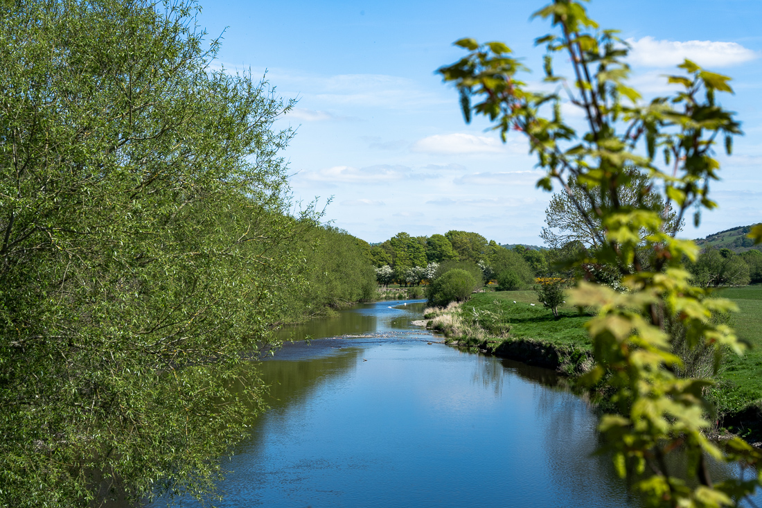 williams-leisure-cwm-hafren-river-severn-nearby