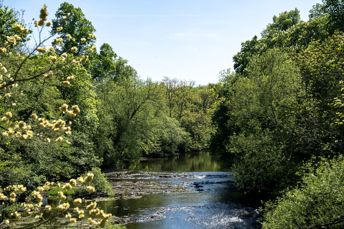 cwm-hafren-williams-leisure-lush-forest